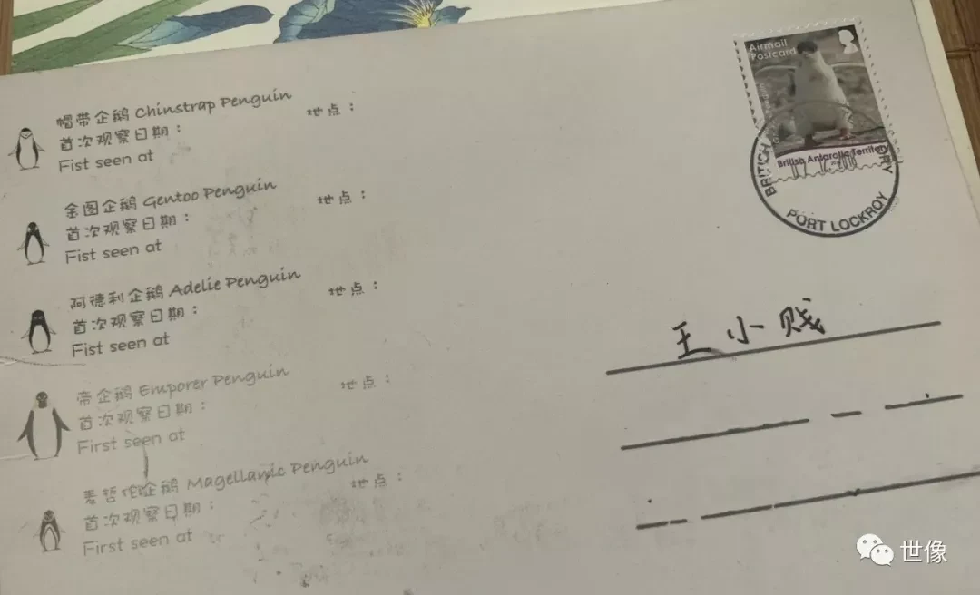 最后的拼图——南极洲